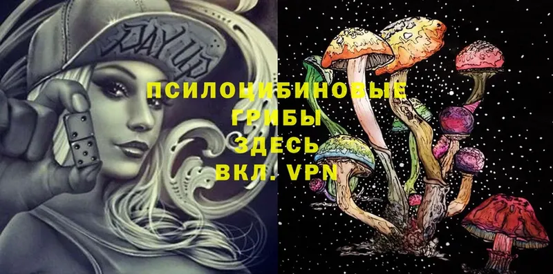 Цена Пятигорск A PVP  Бошки Шишки  Меф мяу мяу  ГАШ 